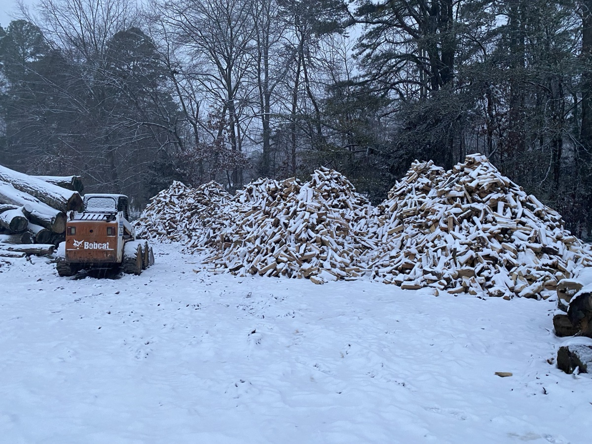 Tree trimming and pruning in Virginia