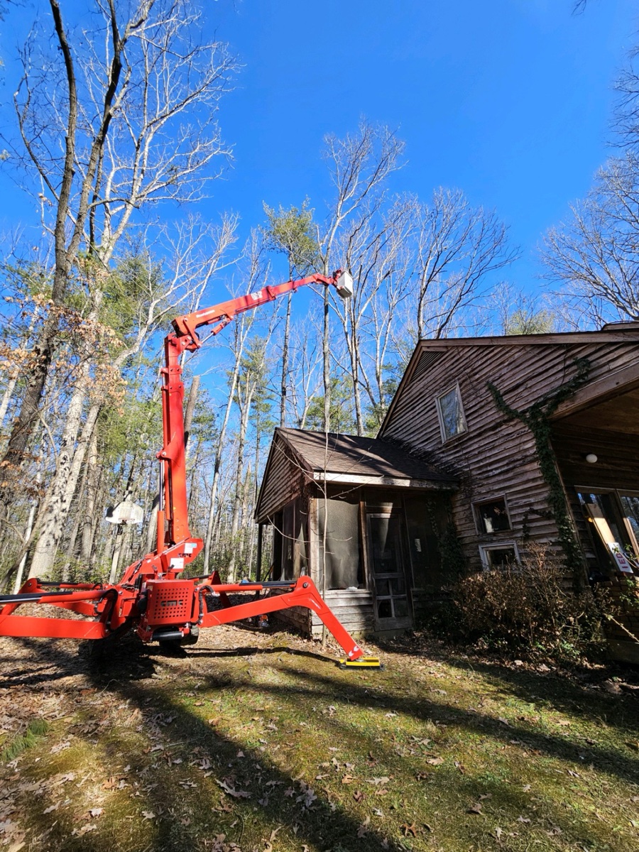 Tree trimming service in Charlottesville area